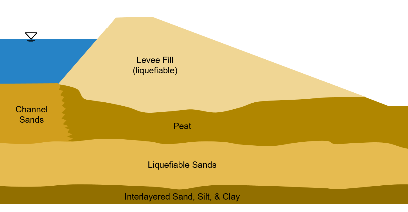 Schematic cross-section of a typical Delta levee.